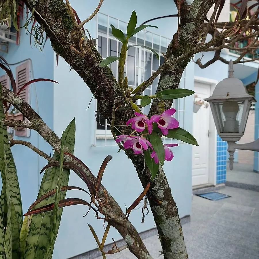 Pousada Estrela Guia Florianópolis